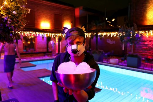 Puppy Night Dezember 2025