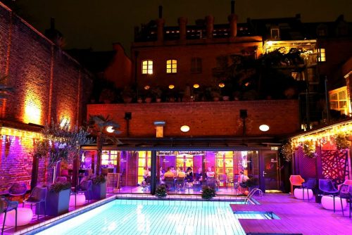 Puppy Night Dezember 2025