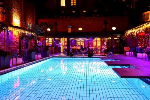 Puppy Night Dezember 2025