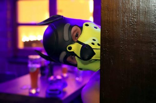 Puppy Night Dezember 2025