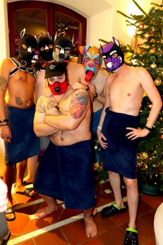 Puppy Night Dezember 2025