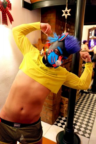 Puppy Night Dezember 2025