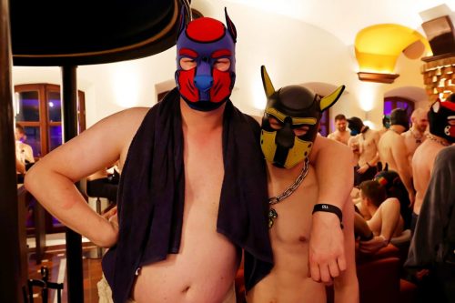 Puppy Night 20260127