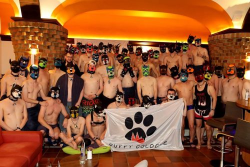 Puppy Night 20260127