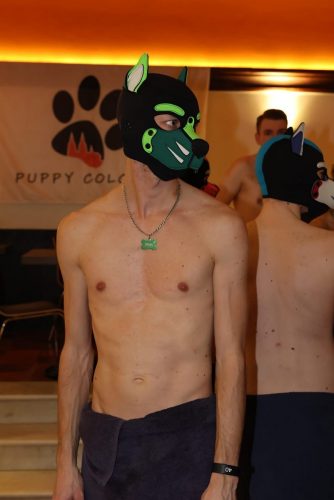 Puppy Night 20260127