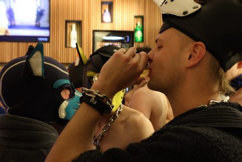 Puppy Night 20260127