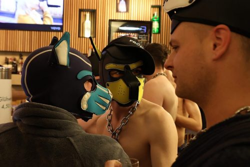 Puppy Night 20260127