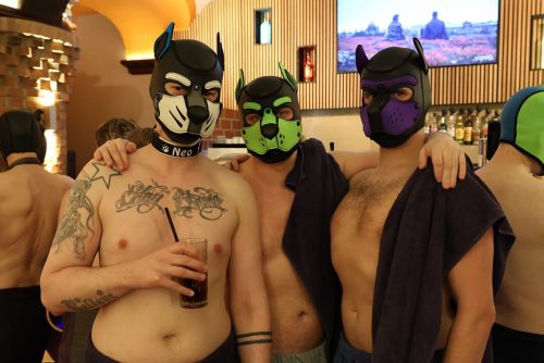 Puppy Night 20260127