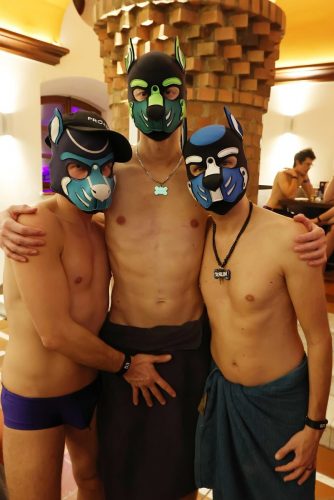 Puppy Night 20260127