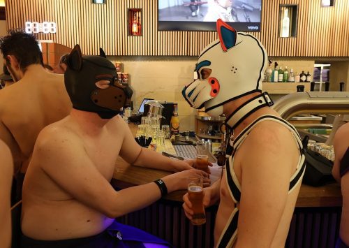 Puppy Night 20260127