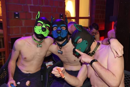 Puppy Night 20260127
