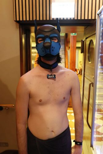 Puppy Night 20260127