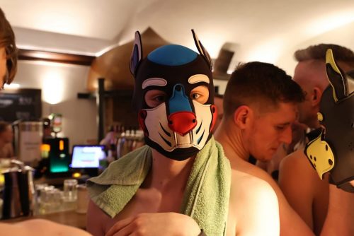 Puppy Night 20260127