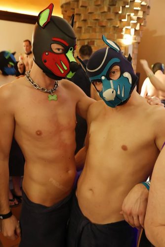 Puppy Night 20260127