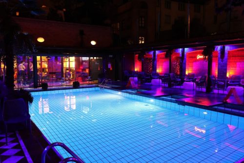 Puppy Night 20260127