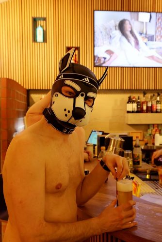 Puppy Night 20260127