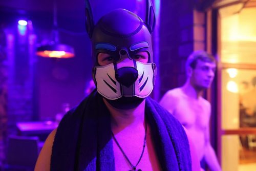 PuppyNightNov2025