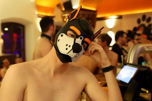 PuppyNightNov2025