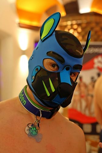 PuppyNightNov2025