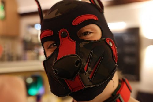 PuppyNightNov2025