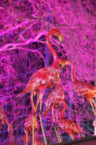 Get Together XMas Special