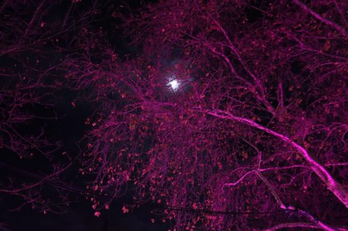 Get Together XMas Special