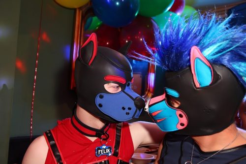 Horny Corns Party 2026