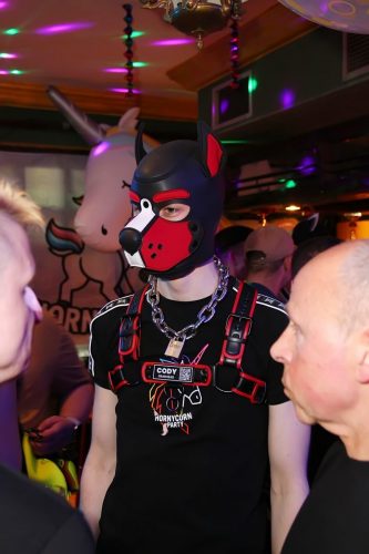 Horny Corns Party 2026