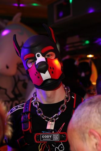 Horny Corns Party 2026