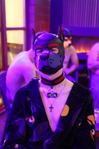 Puppy Night März 2026