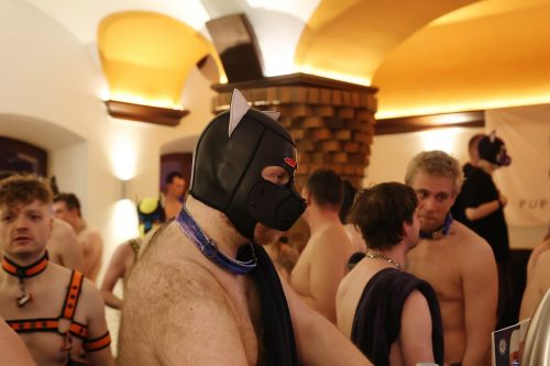 Puppy Night März 2026
