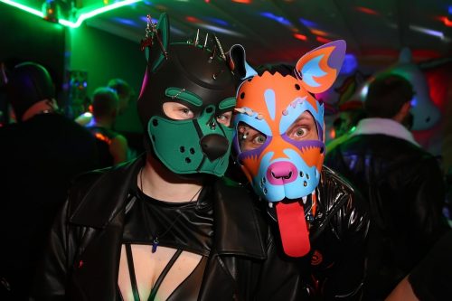 Horny Corns Party 2026