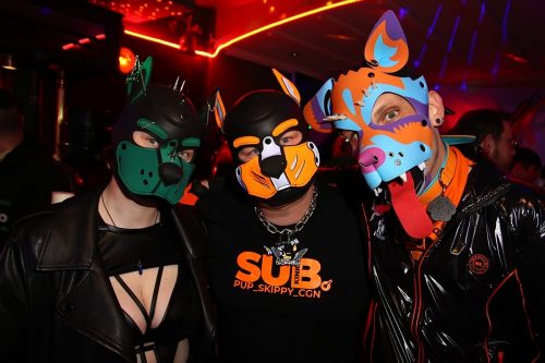 Horny Corns Party 2026