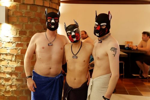 Puppy Night Apr 2026