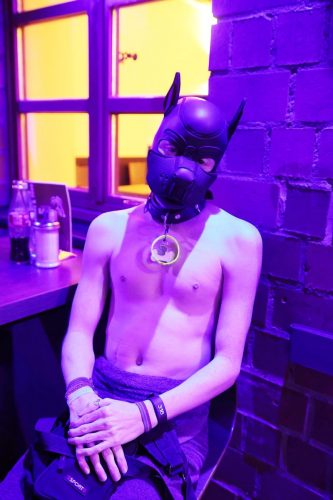 Puppy Night März 2026