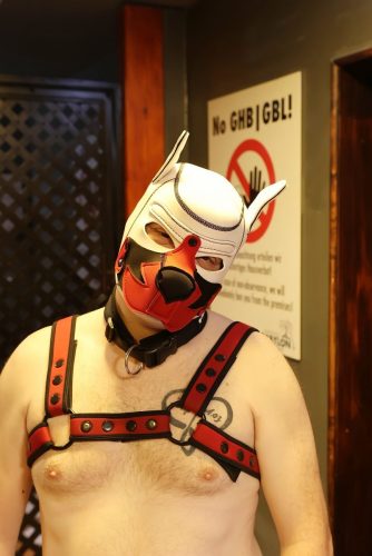 Puppy Night Apr 2026