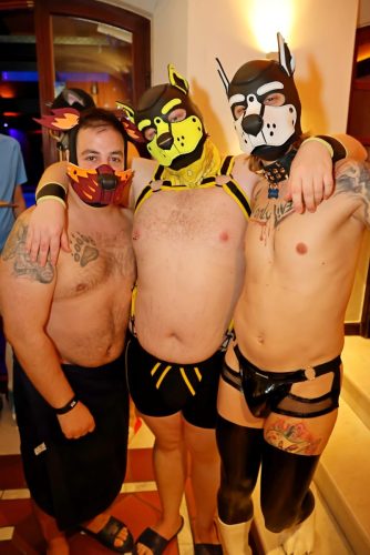 Puppy Night Sep