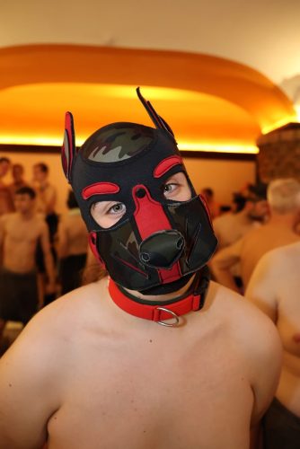 Puppy Night Sep