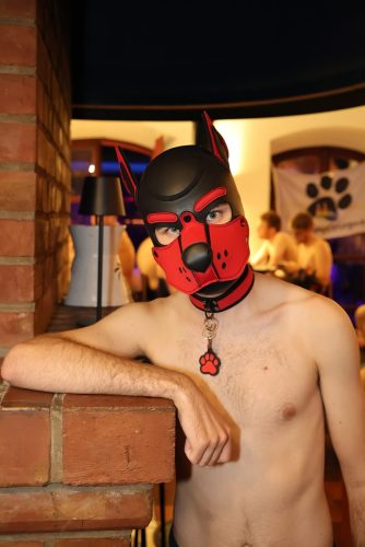 Puppy Night Sep