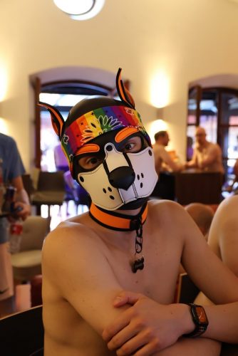 Puppy Night Jul26