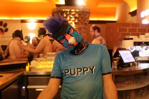 Puppy Night Feb 26