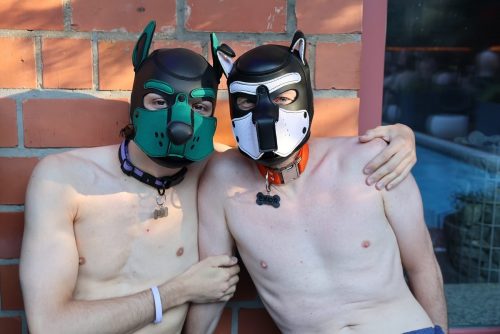 Puppy Night Jul26