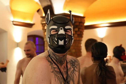 Puppy Night Jul26