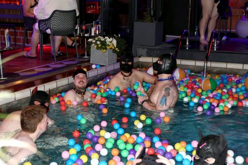 Puppy Night Jul26