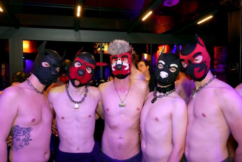 Puppy Night Jul26