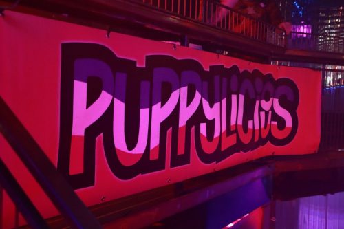 Puppy Licious - Cologne Pride