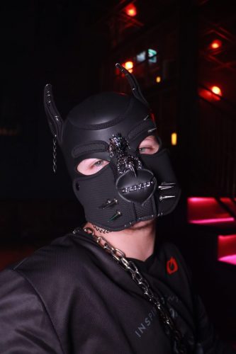 Puppy Peide Cologne 2026 - PuppyLicious