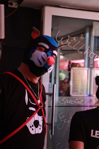 Puppy Pride Cologne 2026 - Thaly Tour