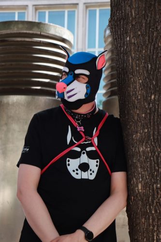 Puppy Pride Cologne 2026 - Thaly Tour