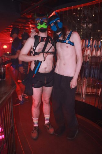 Puppy Licious - Cologne Pride